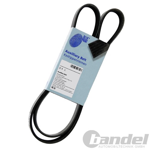 Cinghie blue print 5pk685 - cinghie,