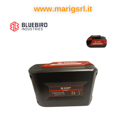 Batteria litio blue bird - blue,